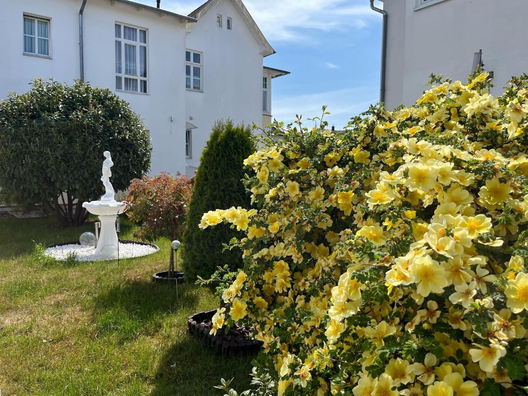 Pension Mittag Heringsdorf Dış mekan fotoğraf